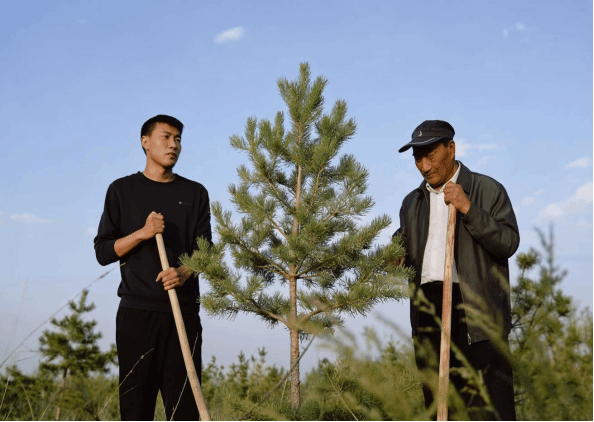 就业创业典型 | 陕西农林职业技术大学石健阳：以林为业守初心 以沙为家绘华章 以青春之力擎起乡村振兴生态脊梁