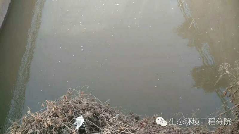 点击查看原图大小