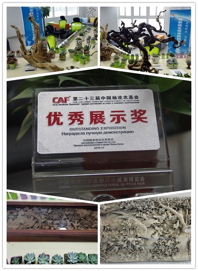 点击查看原图大小