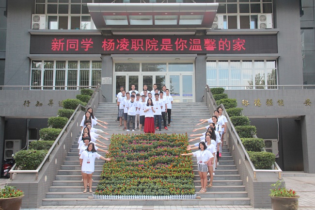 点击查看原图大小
